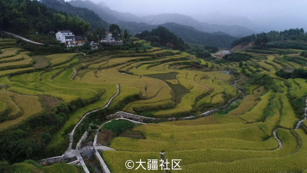 十一游罗田英山梯田茶园(照片 视频)