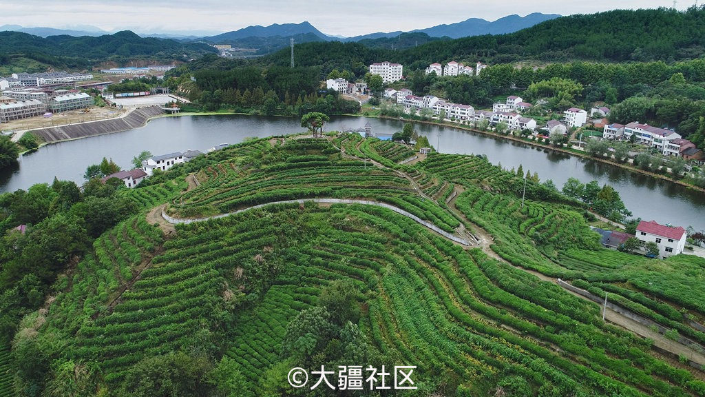 十一游罗田英山梯田茶园(照片 视频)