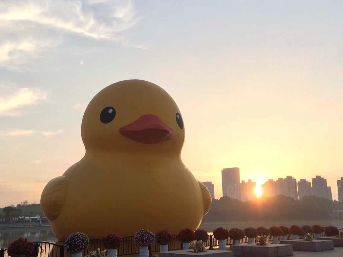 人见人爱的大黄鸭,上海世纪公园站   北外滩航拍黄浦江