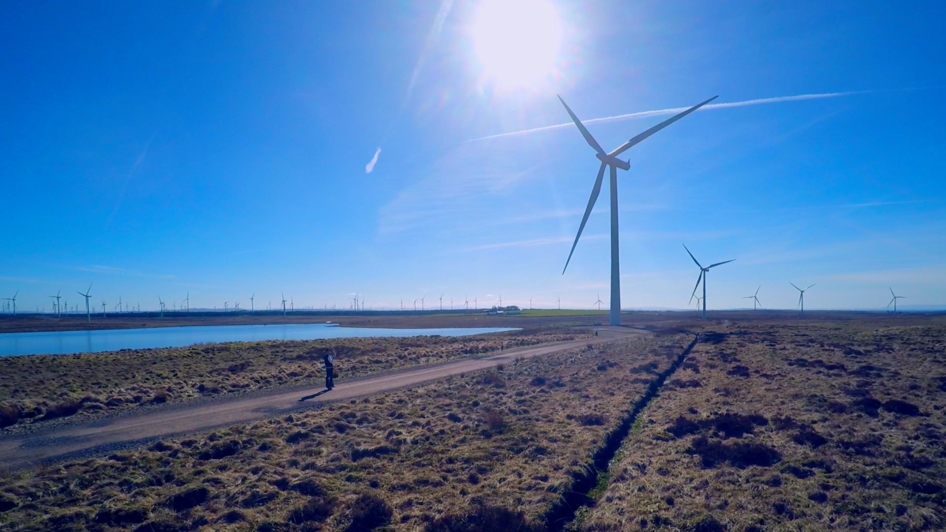 Whitelee Wind Farm.jpg