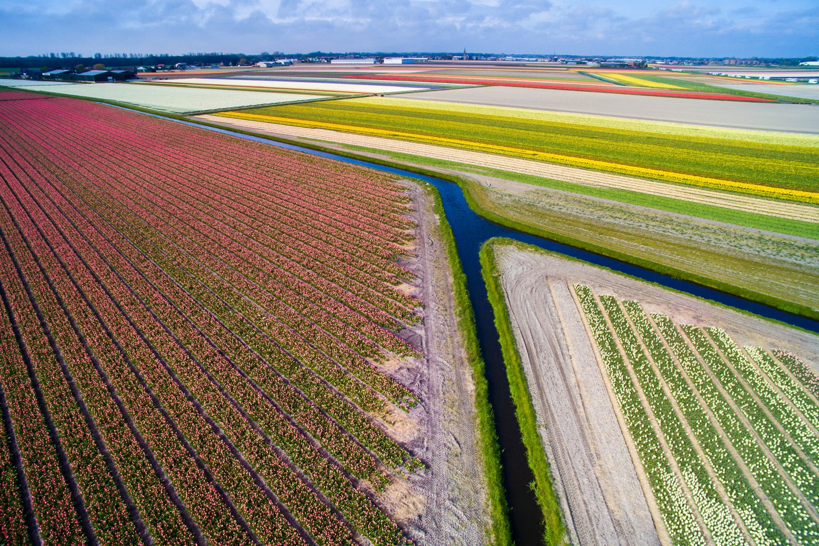 用上帝的视角,感受荷兰般的春天