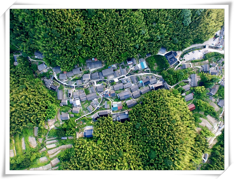 DJI_0034_Frame(木纹(四周花纹)).jpg