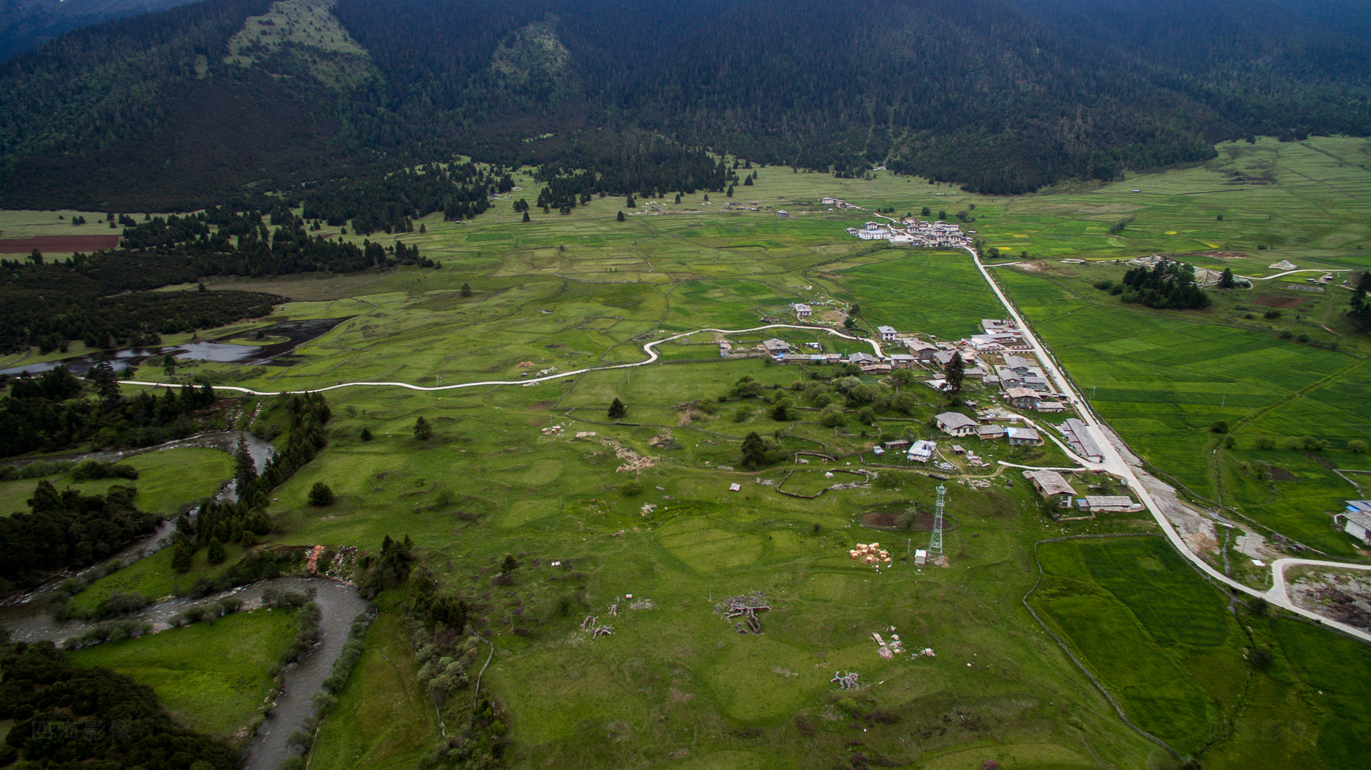 【精灵3西巡】之十四 鲁朗林海-扎西岗村