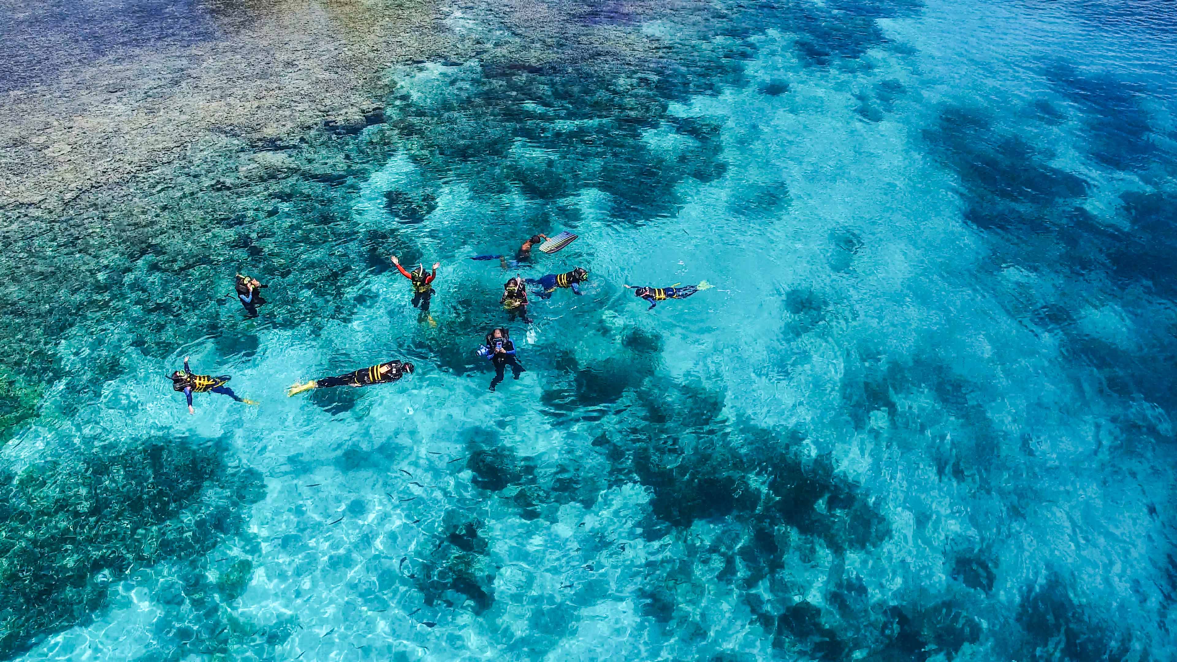 海底浮潜景色图片