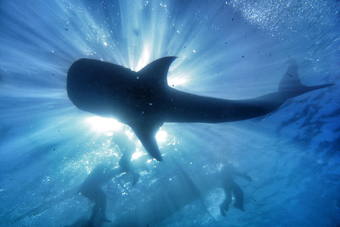 晒游记菲律宾上天入海传说中杜马盖地深度游震撼大图