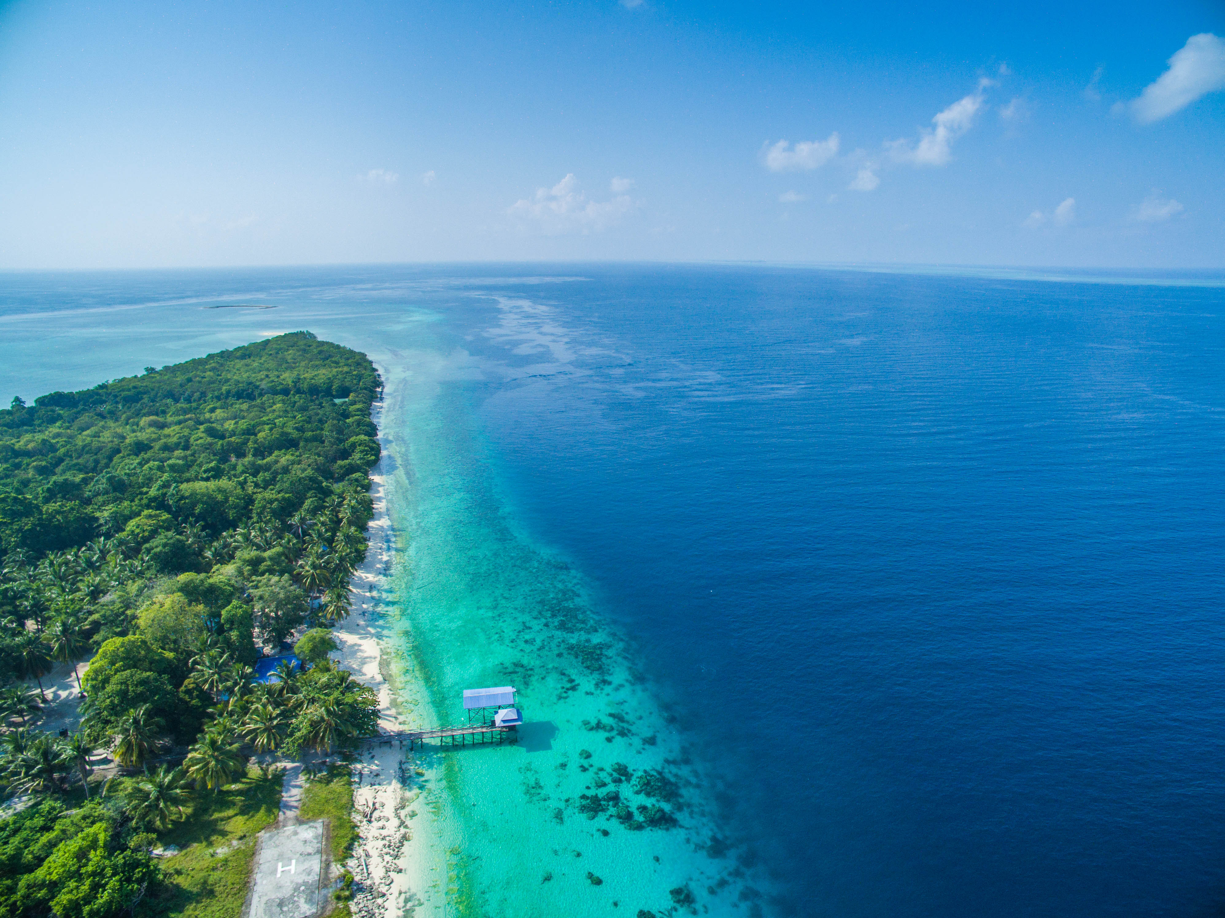 shewalksinbeauty马来西亚马达京卡帕莱