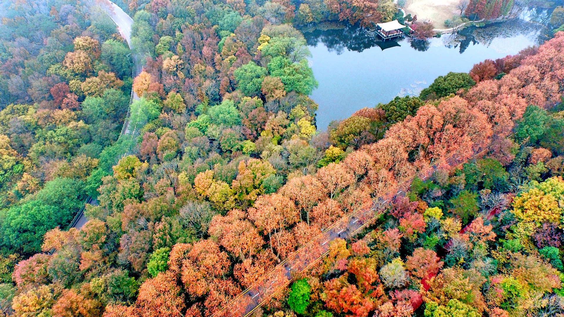 航拍南京紫金山秋景