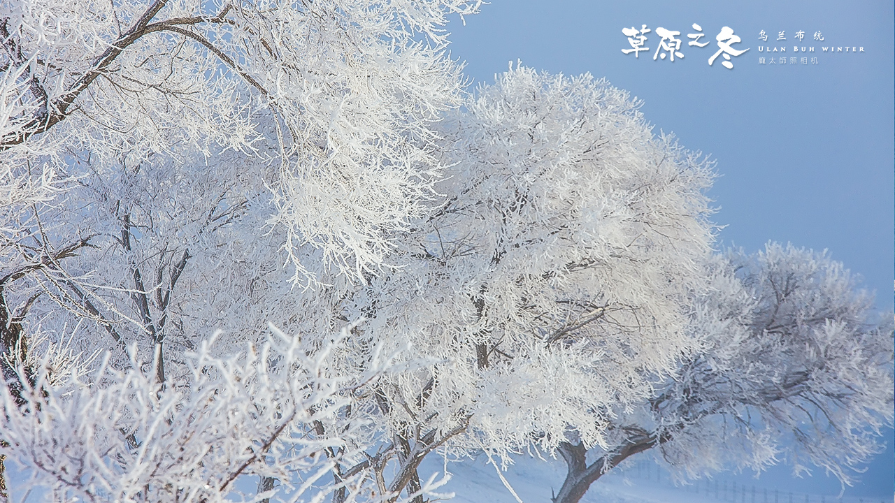 乌兰布统草原之冬720-04.jpg