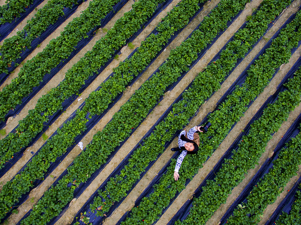 《大疆--让人上瘾的航拍》