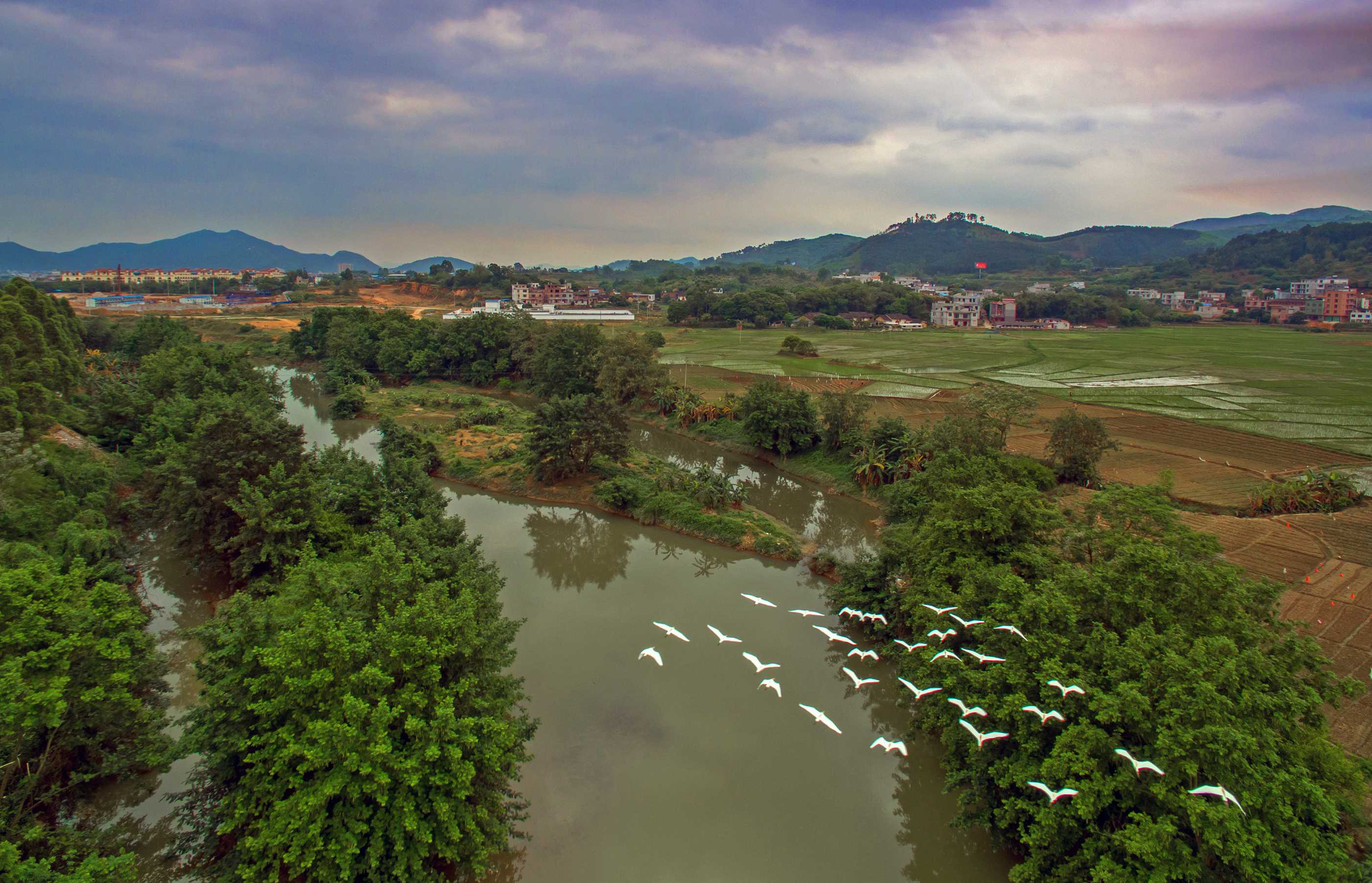 撩春风春回大地鸟归来