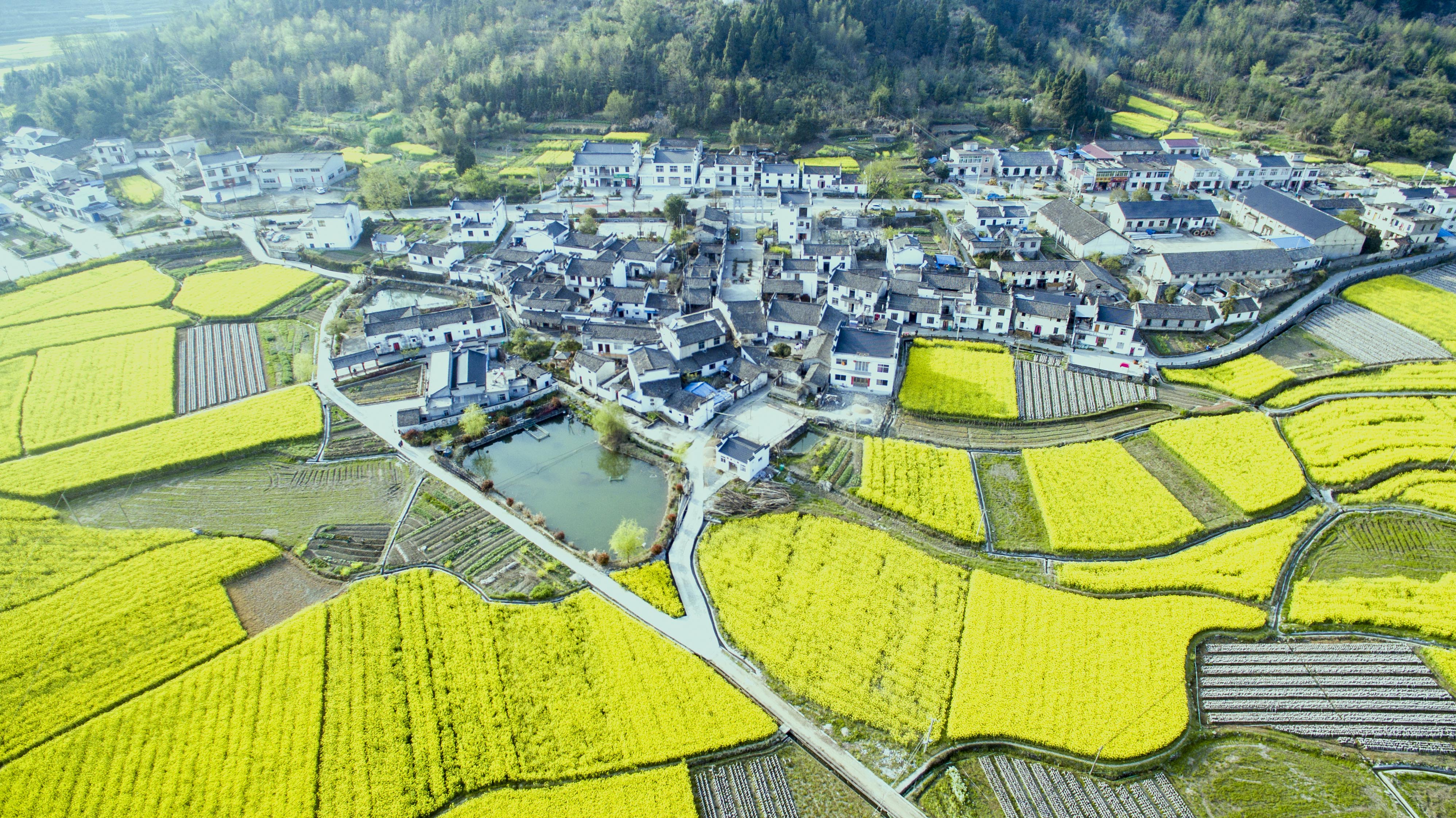 高路亭村始建于1974年,高路亭村位于安徽省石台县七都镇东部,325