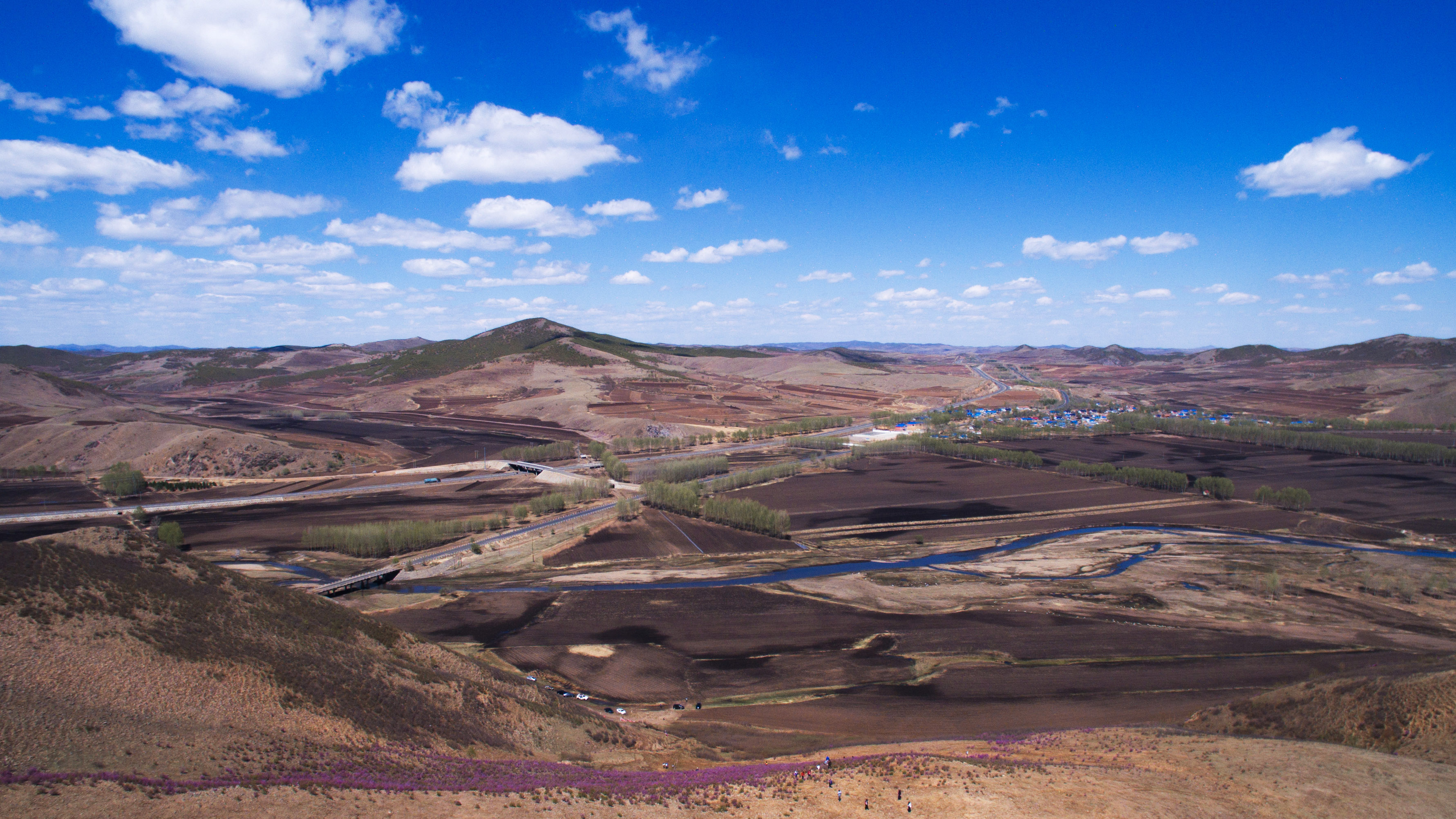 内蒙古扎兰屯架子山杜鹃花海