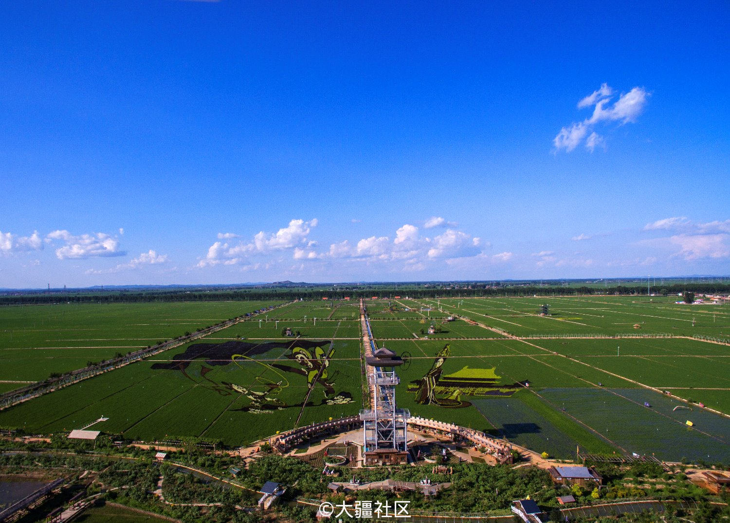 "稻梦空间"位于沈阳市沈北新区兴隆台锡伯族镇星光村,也称稻田画.