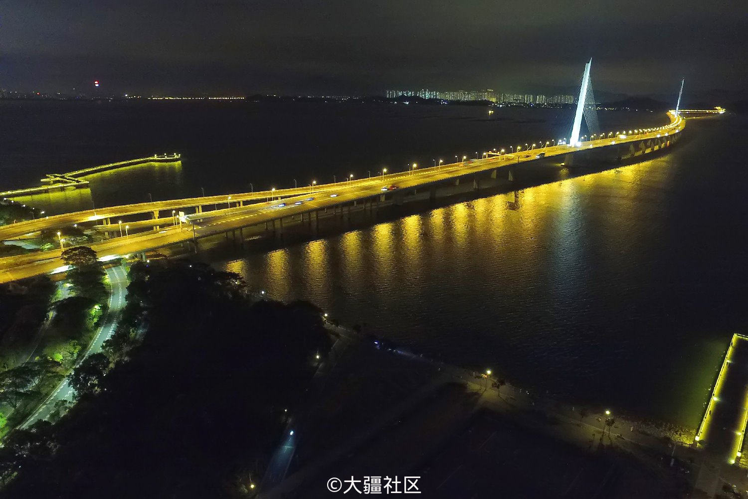 精灵3·深圳湾跨海大桥夜景