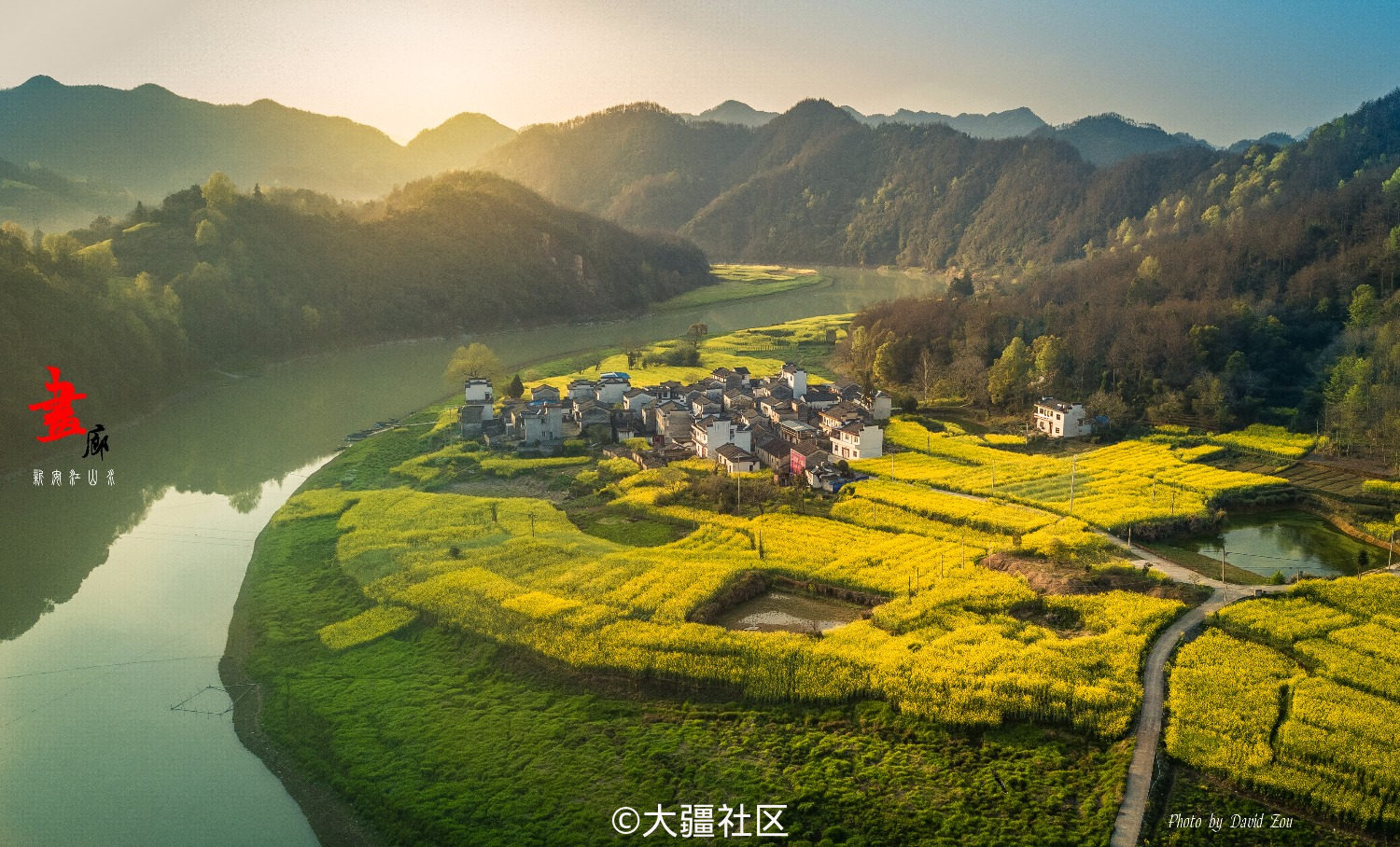 御航拍開滿油菜花的新安江山水畫廊