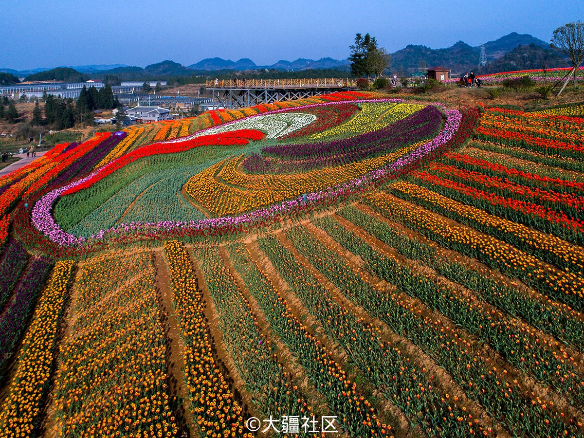 贵阳花画小镇美丽的世外花源