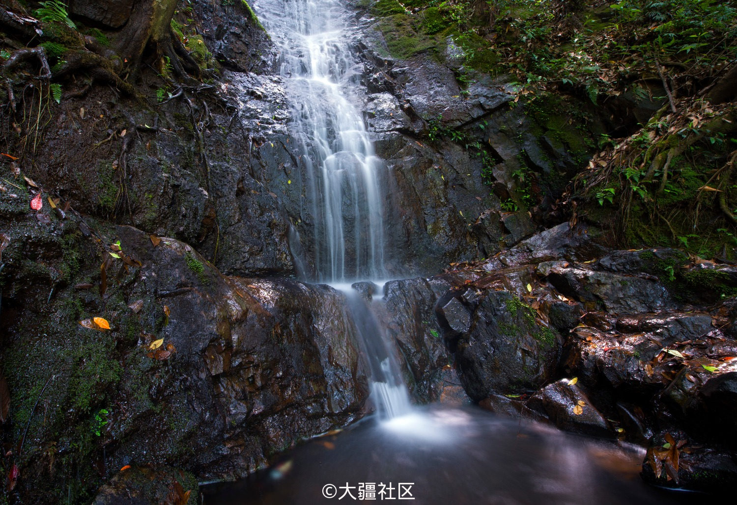 杭州九溪照片分享