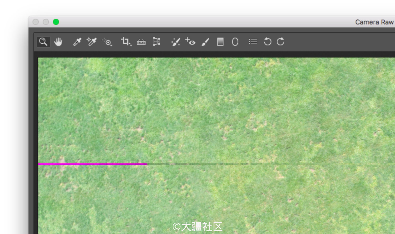 拍dng格式图片问题