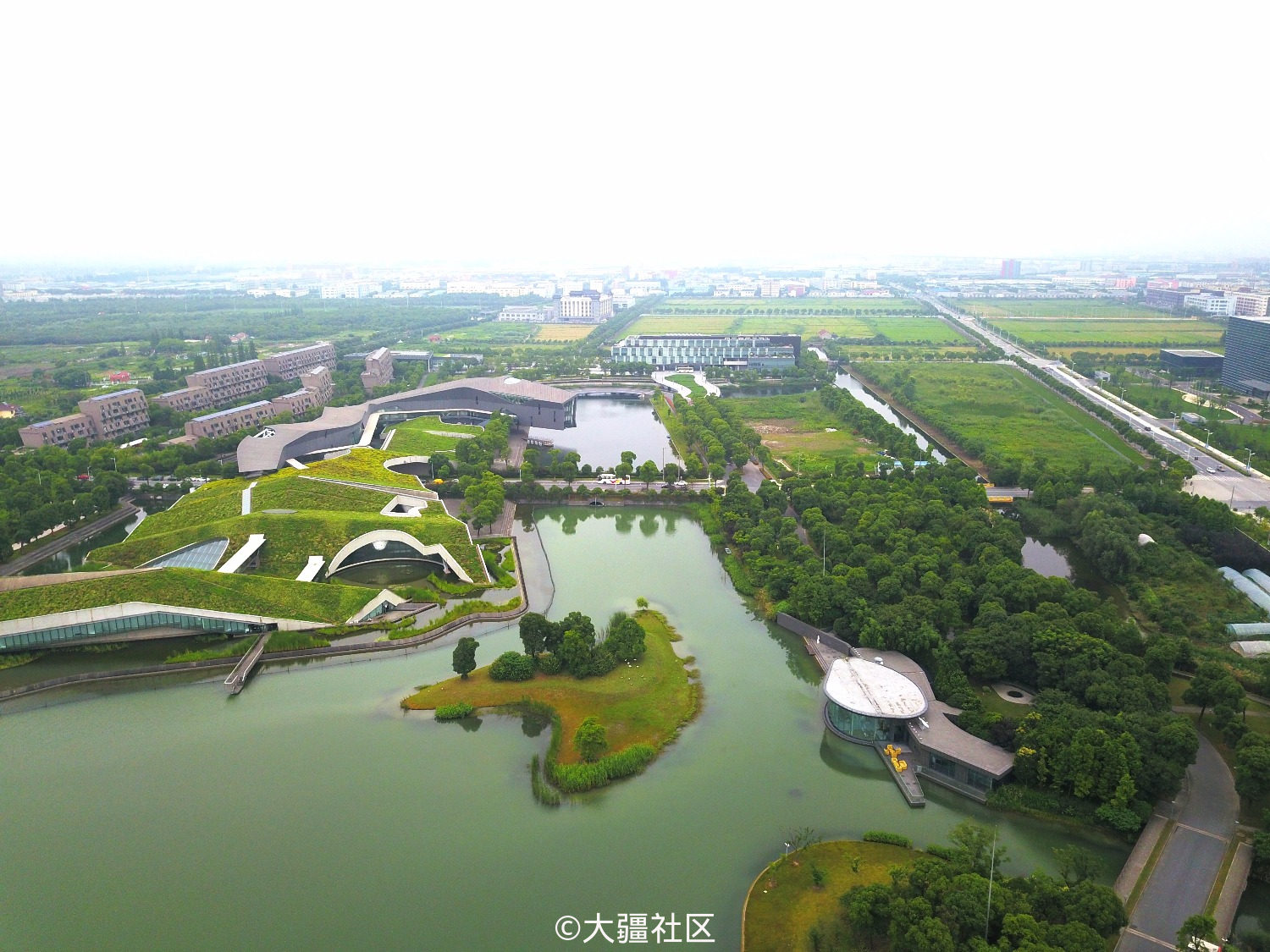 巨人网络(保安有电子枪,差点被击落)