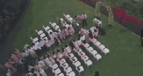 0 (2).gif