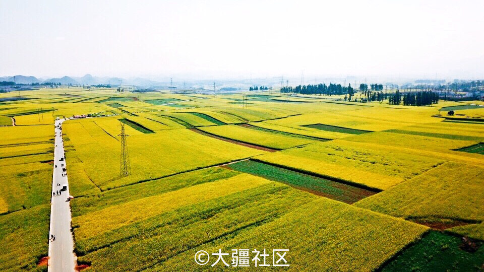 18年3月3日云南罗平油菜花 作品 大疆社区 18年3月3日云南罗平油菜花 作品 大疆社区