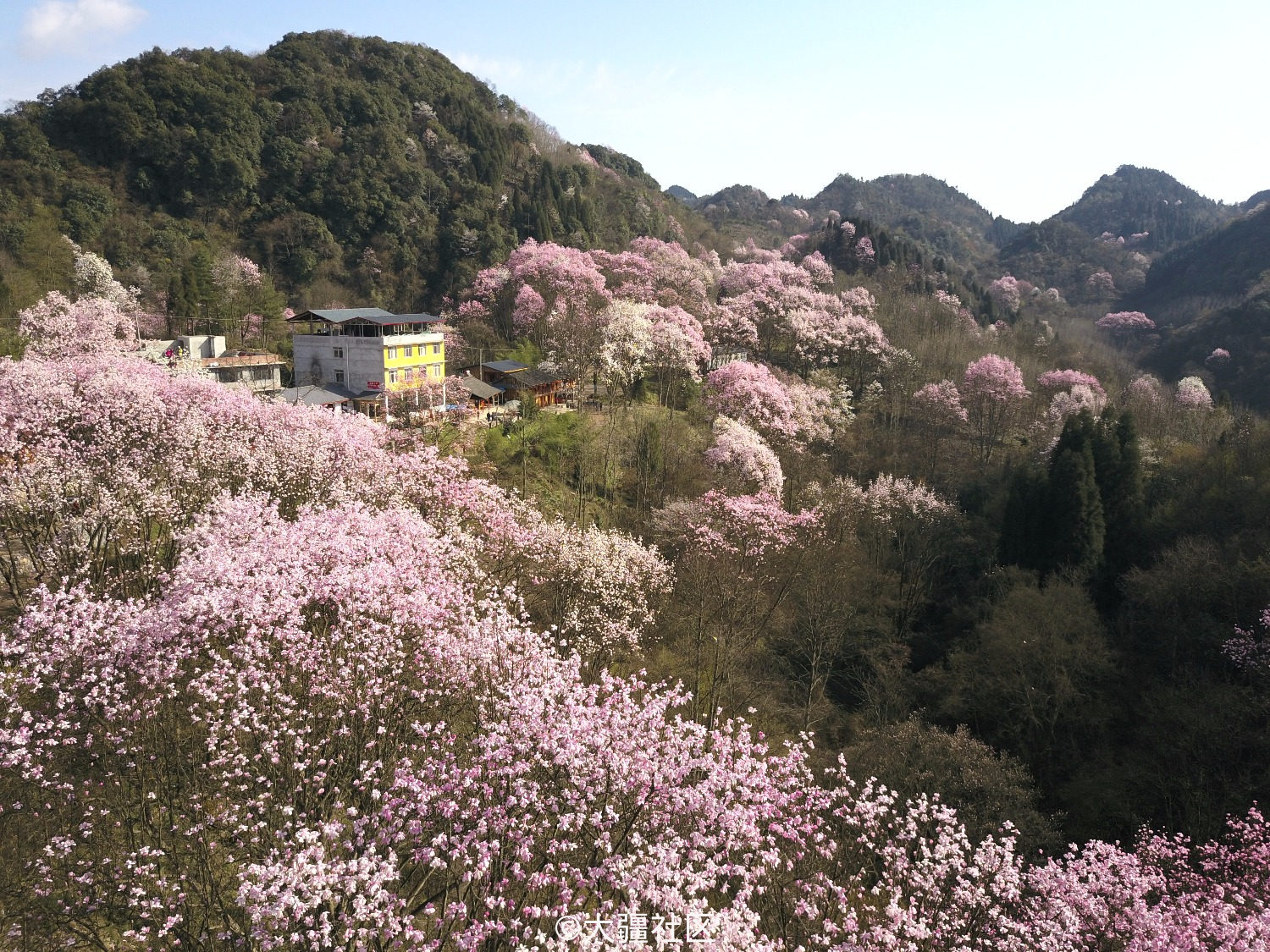 获奖名单公布 玩点 花 样 航拍赏花 花式拿奖 活动 第5页 大疆社区