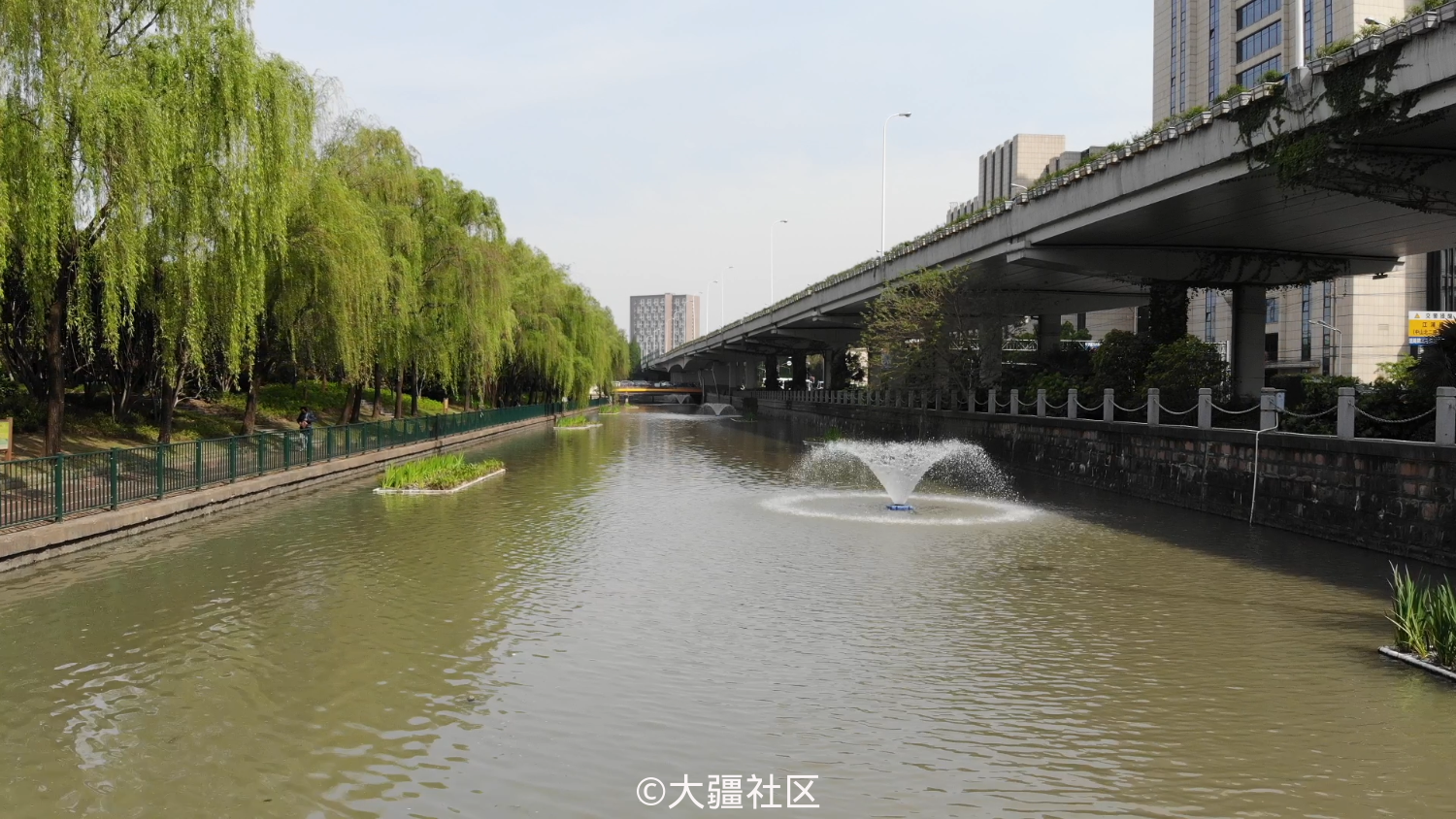 杨浦区四平科技公园