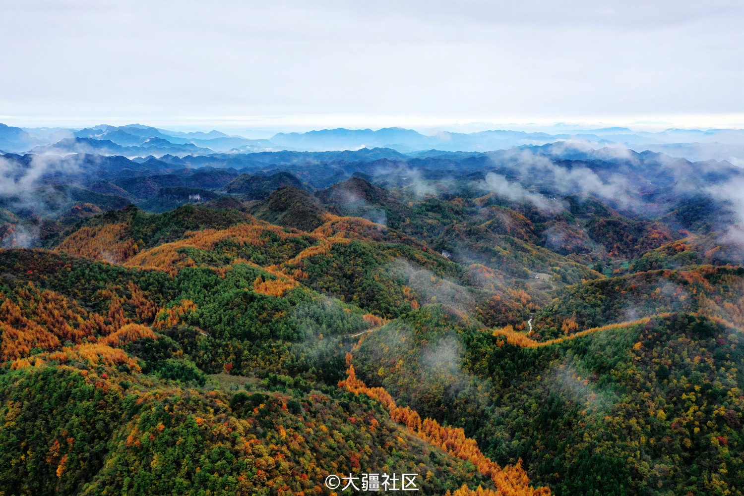 曾家山鸳鸯池林场