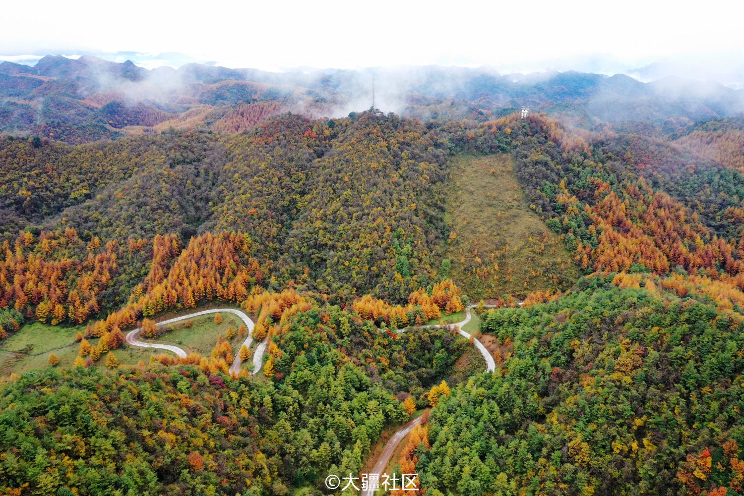 曾家山鸳鸯池林场