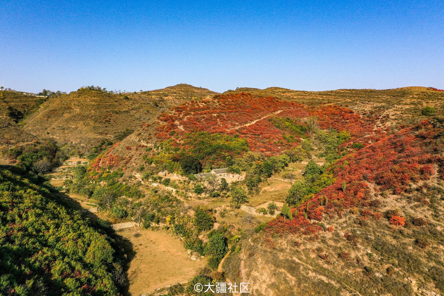 鸠山红叶谷 作品 大疆社区