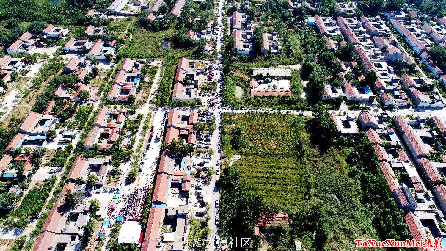 邹平市台子镇风光