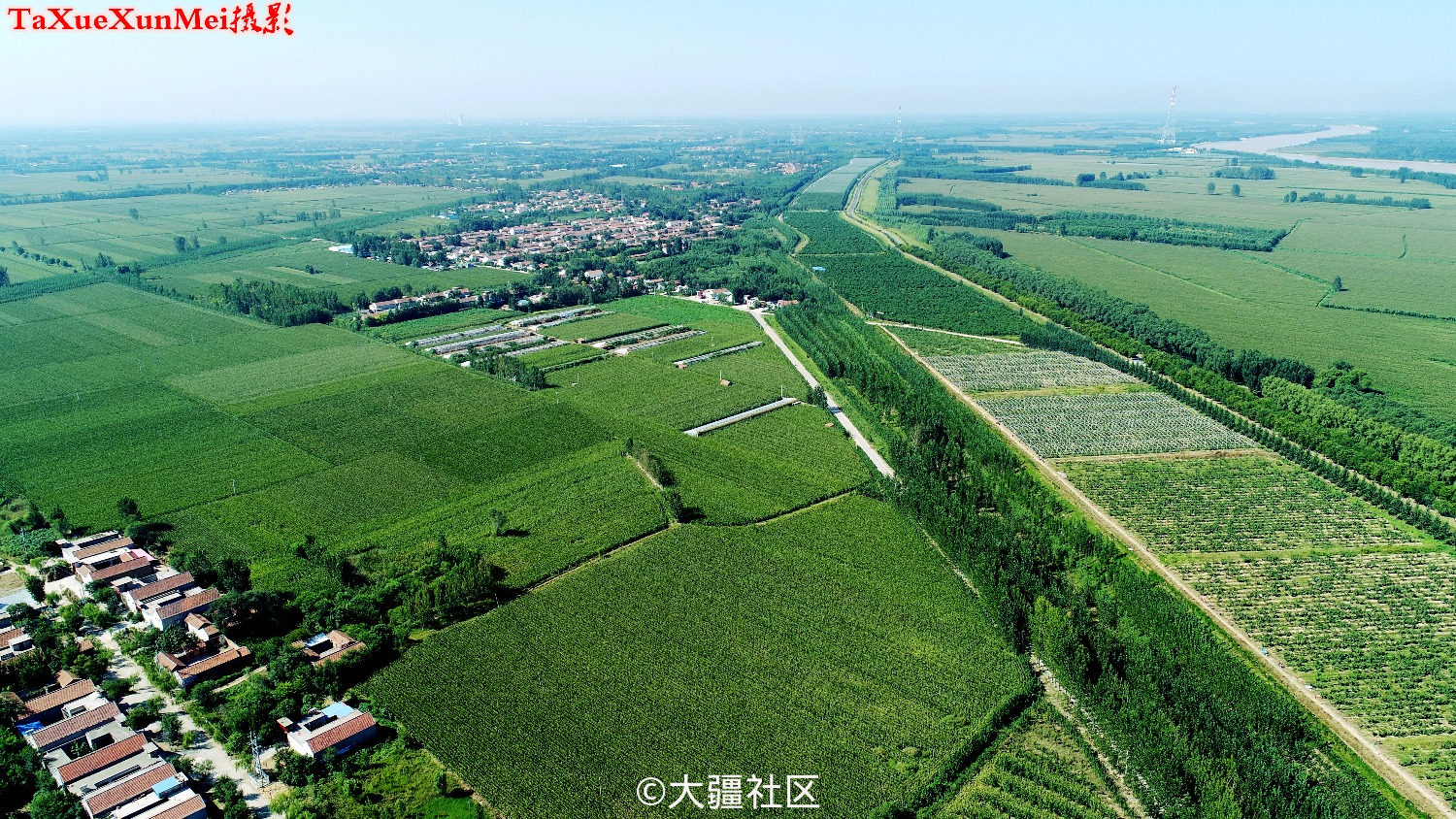 邹平市台子镇风光