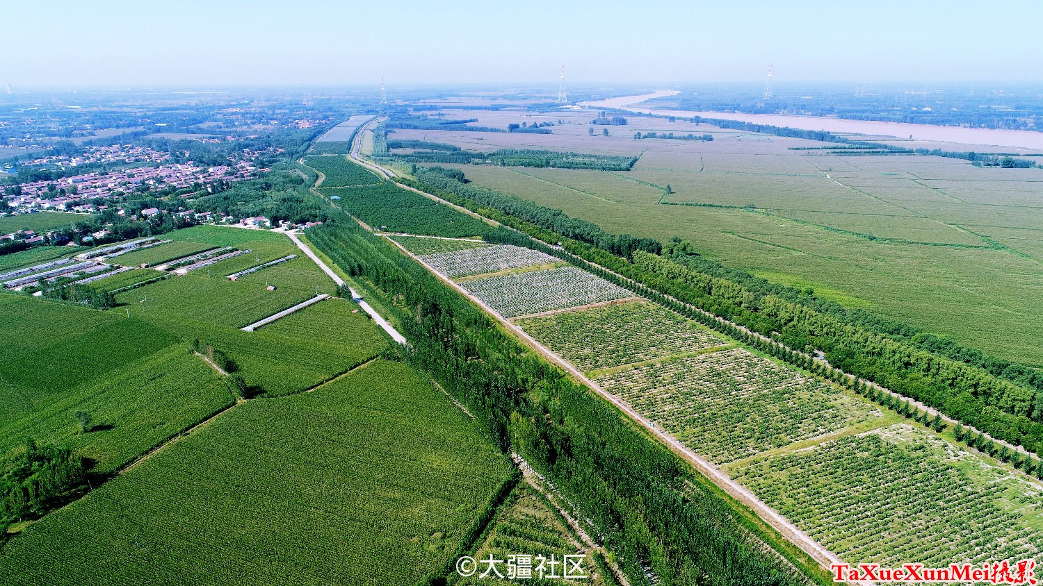 邹平市台子镇风光