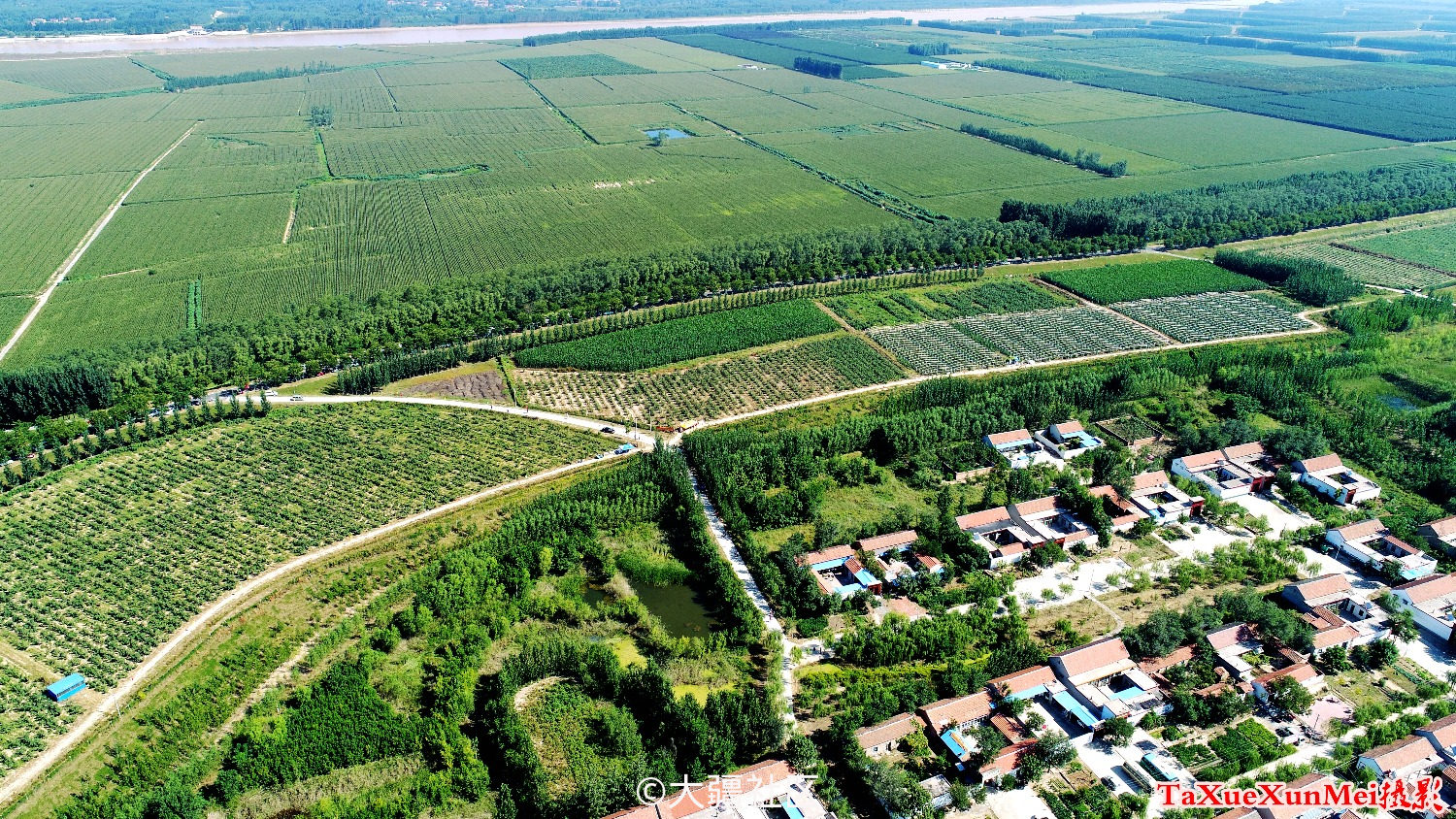 邹平市台子镇风光