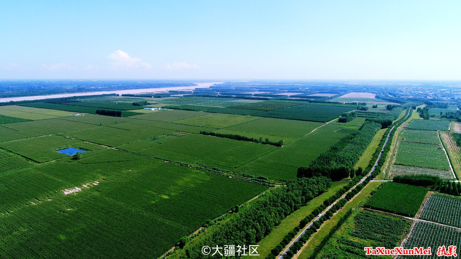 邹平市台子镇风光