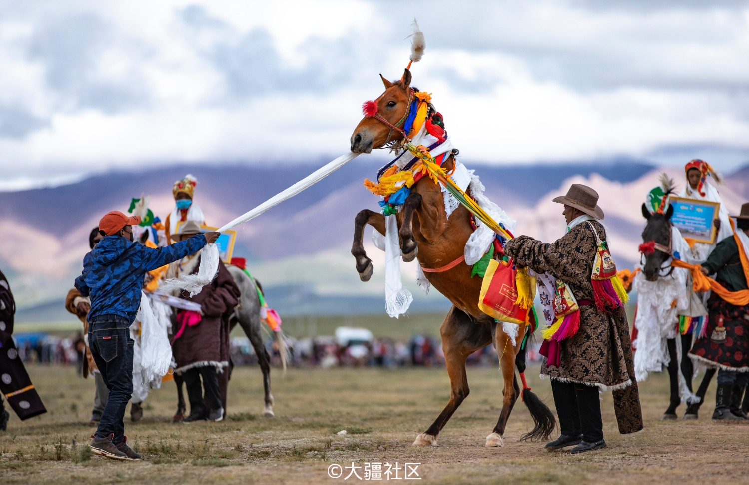 西藏安多县赛马节(2018年)