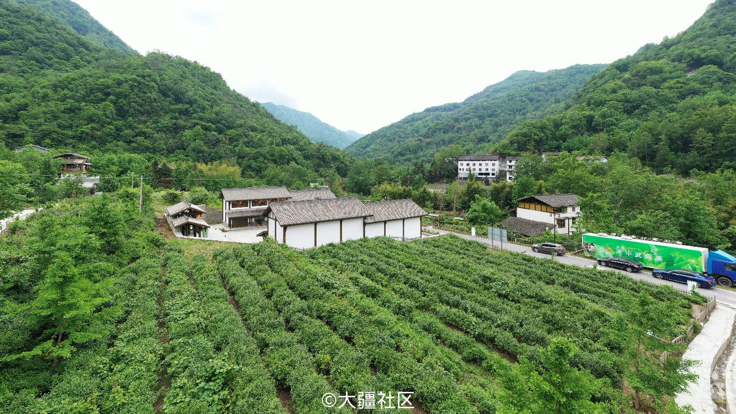 四川平武豆叩茶叶小镇