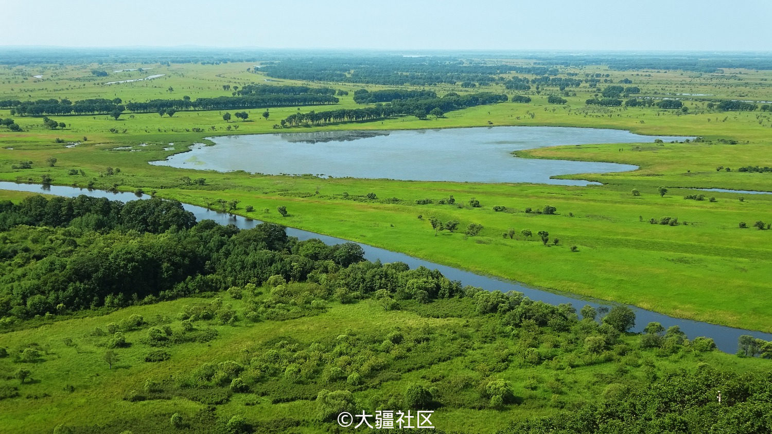 珍宝岛湿地