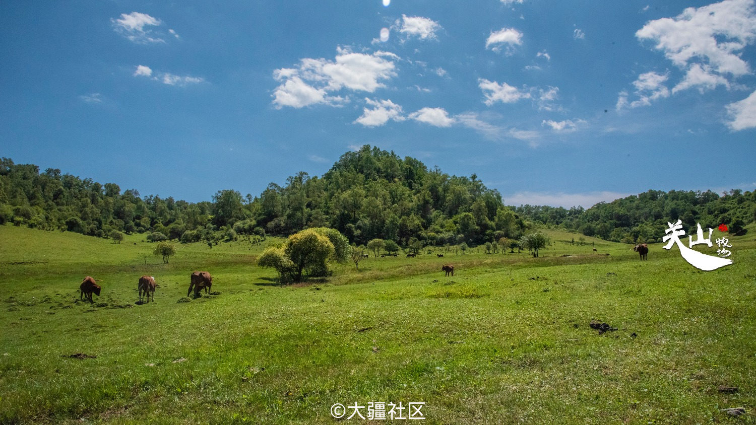 關山牧場