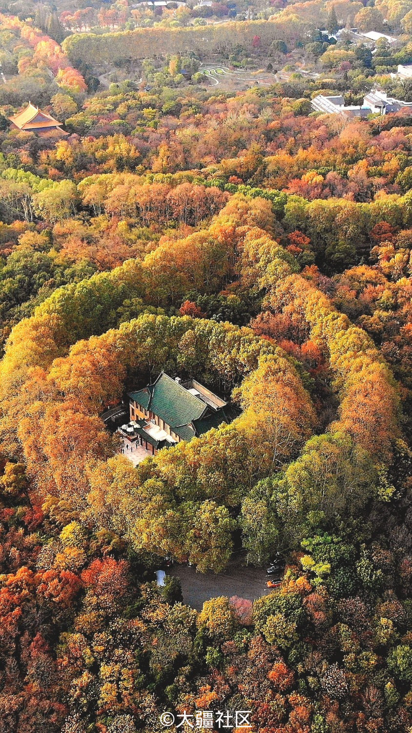 美龄宫全景图片