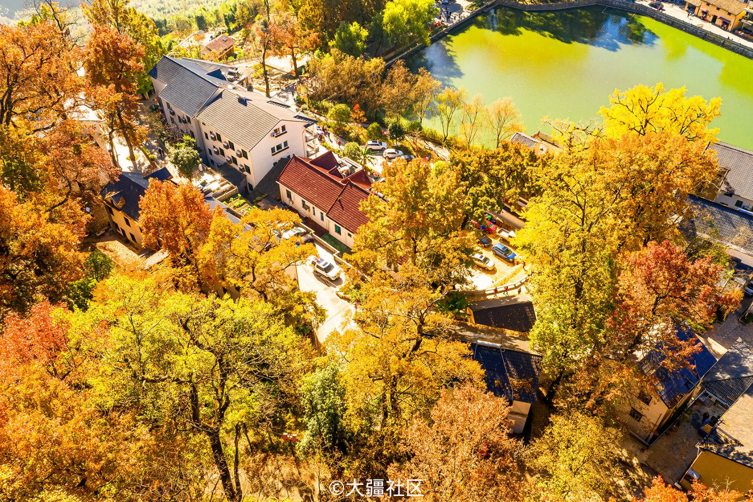 红叶指南指南村二