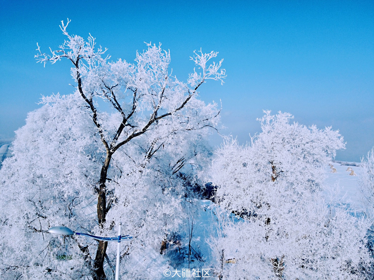 【美丽的吉林雾凇（一）摄影图片】吉林市江边风光摄影_老徐的摄影博客_太平洋电脑网摄影部落