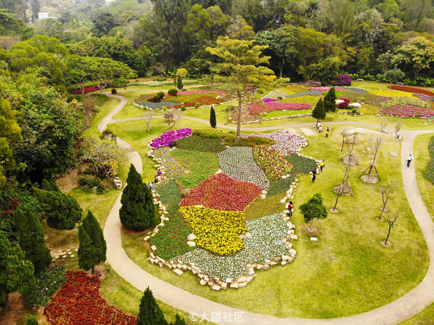 厦门植物园之花卉园——新年的第一抹春色-作品-大疆社区