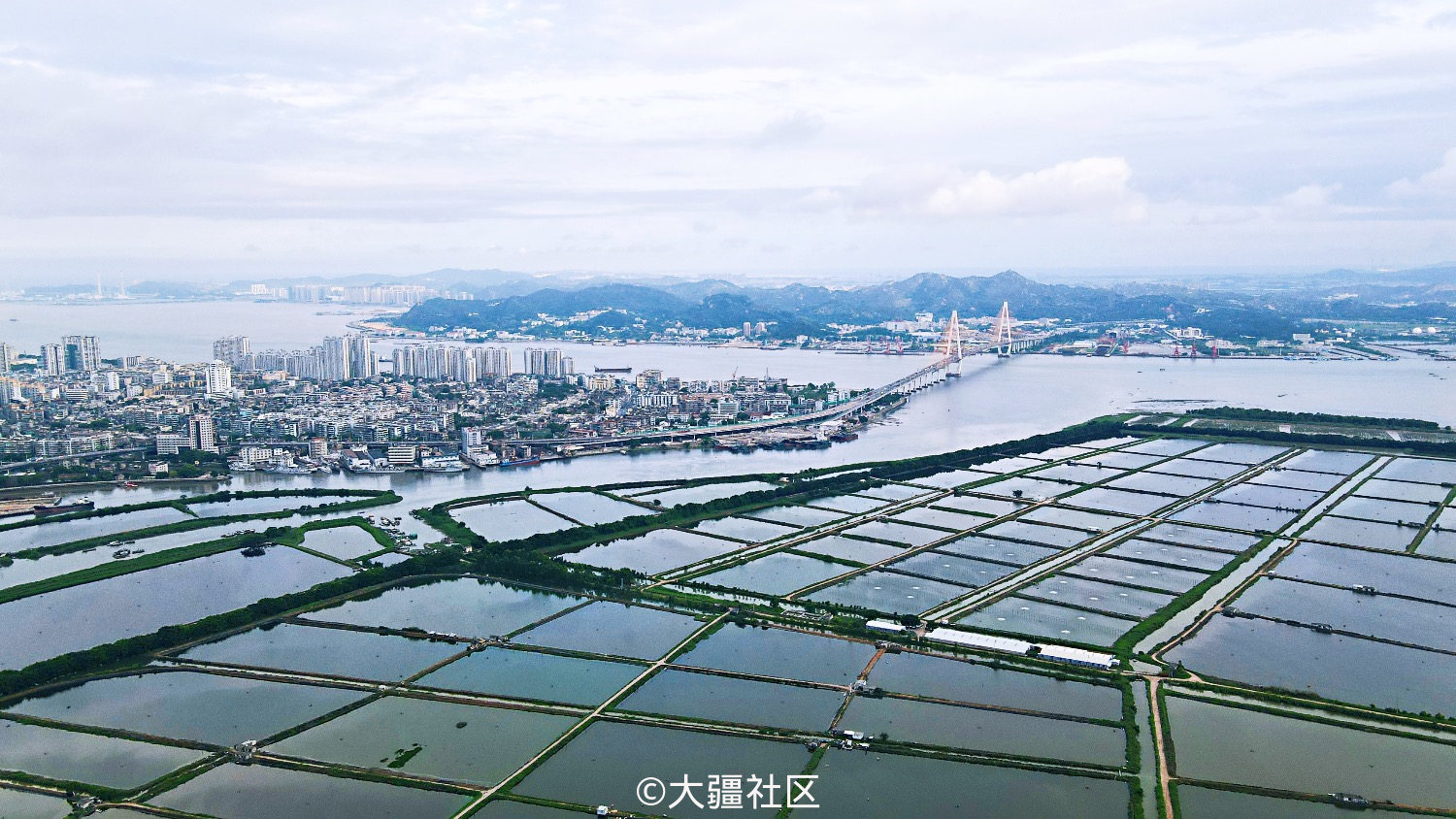 汕头牛田洋湿地公园