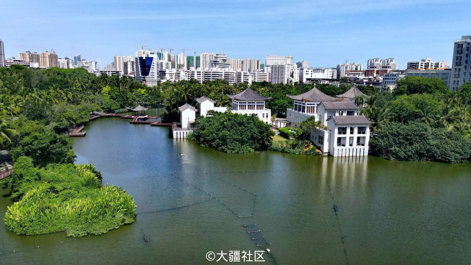 夏日的海口东湖