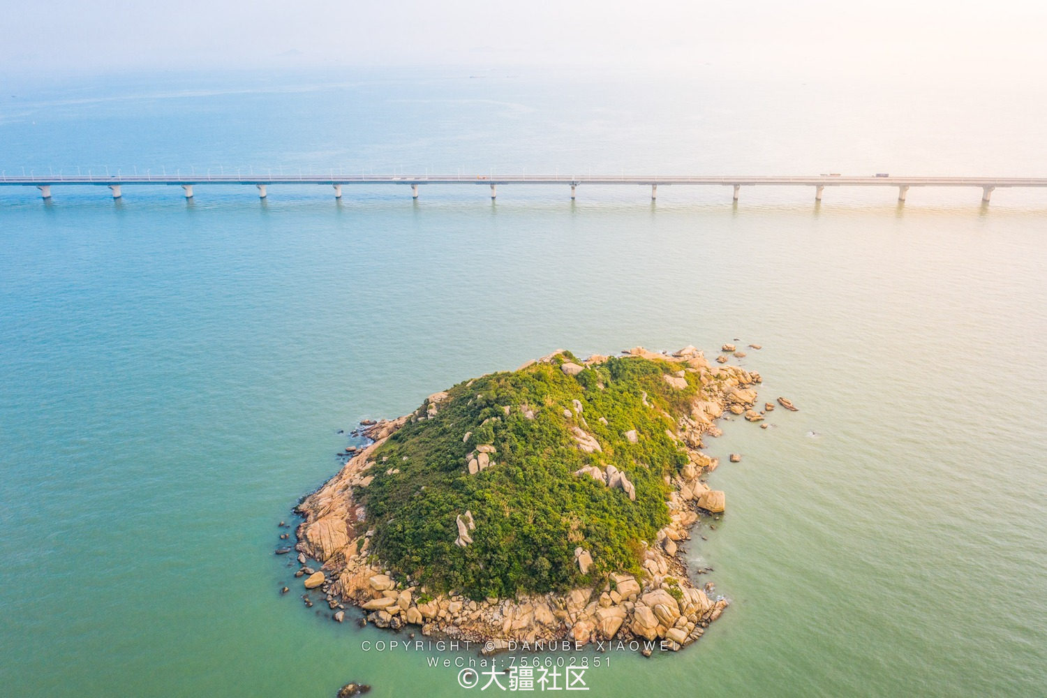 麣޵