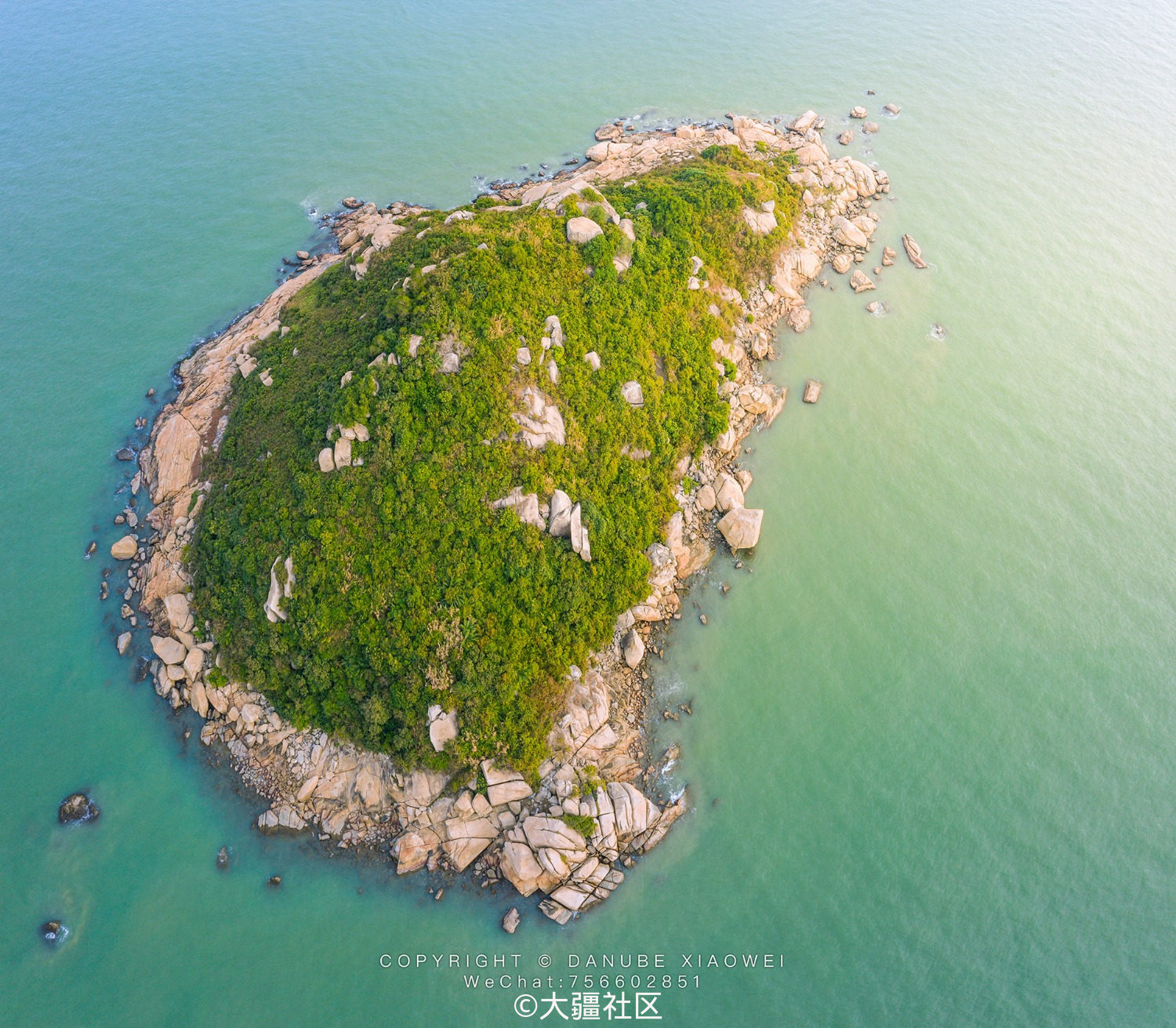 麣޵