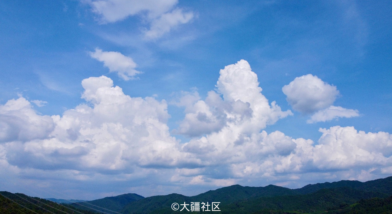 Mini日本京都茶田自驾拍摄图片 作品 大疆社区