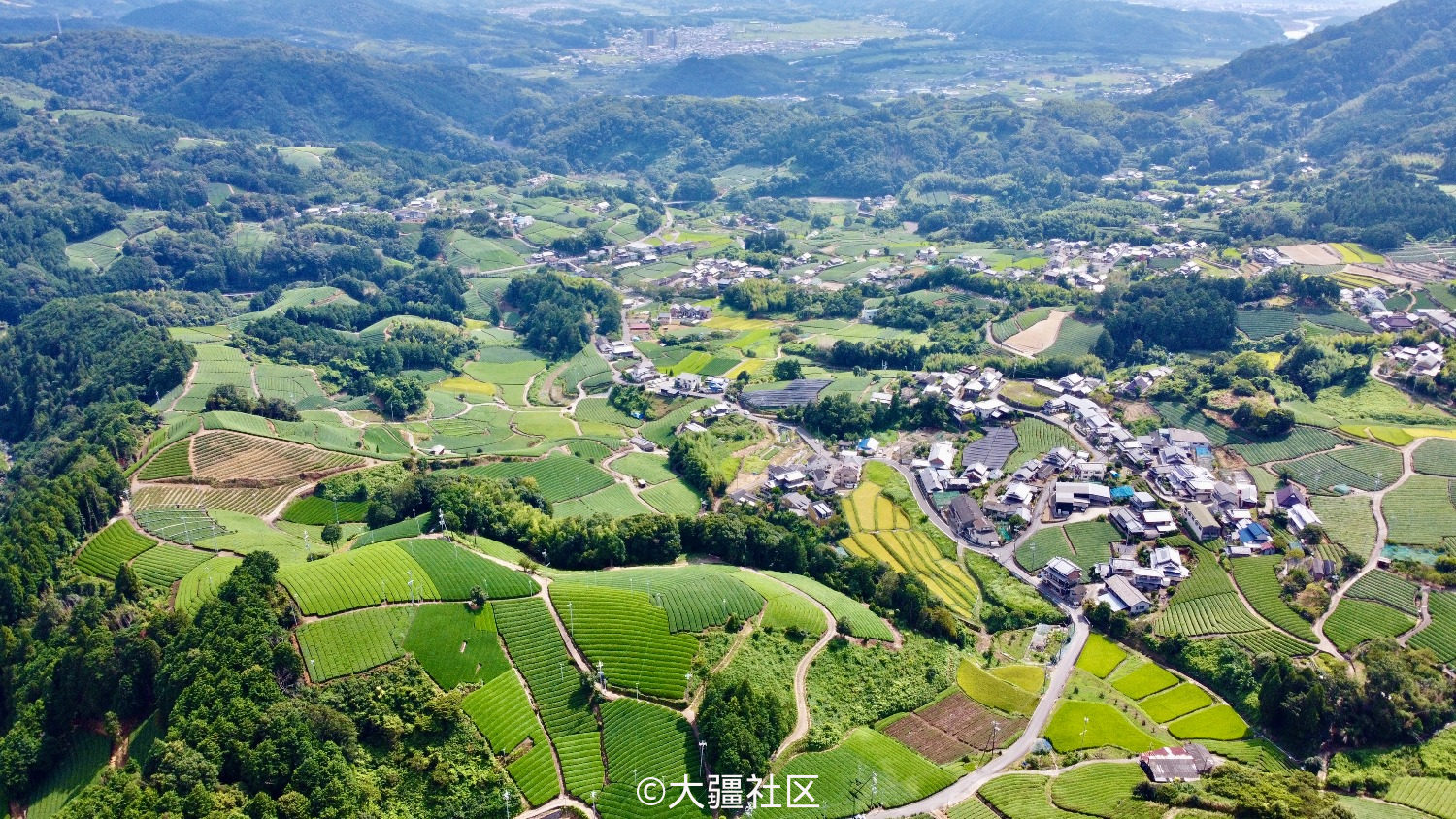 Mini日本京都茶田自驾拍摄图片 作品 大疆社区