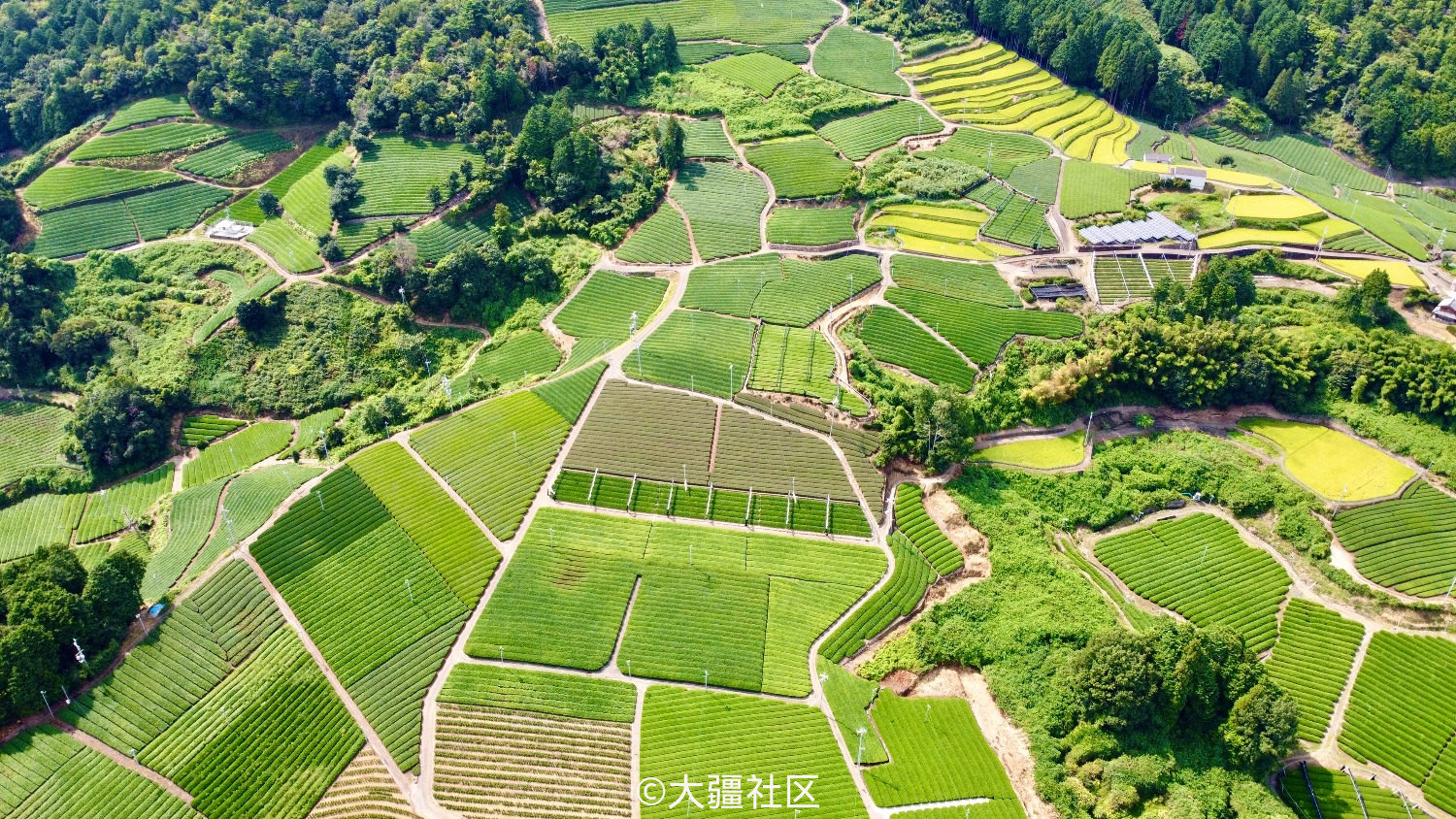 Mini日本京都茶田自驾拍摄图片 作品 大疆社区